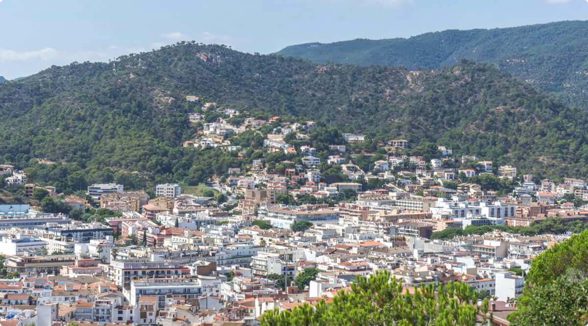 ¿Cuáles son las opciones de vehículos más populares en Castellón De La Plana?